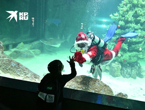 “Москвариум” дахь усан доорх шинэ жил